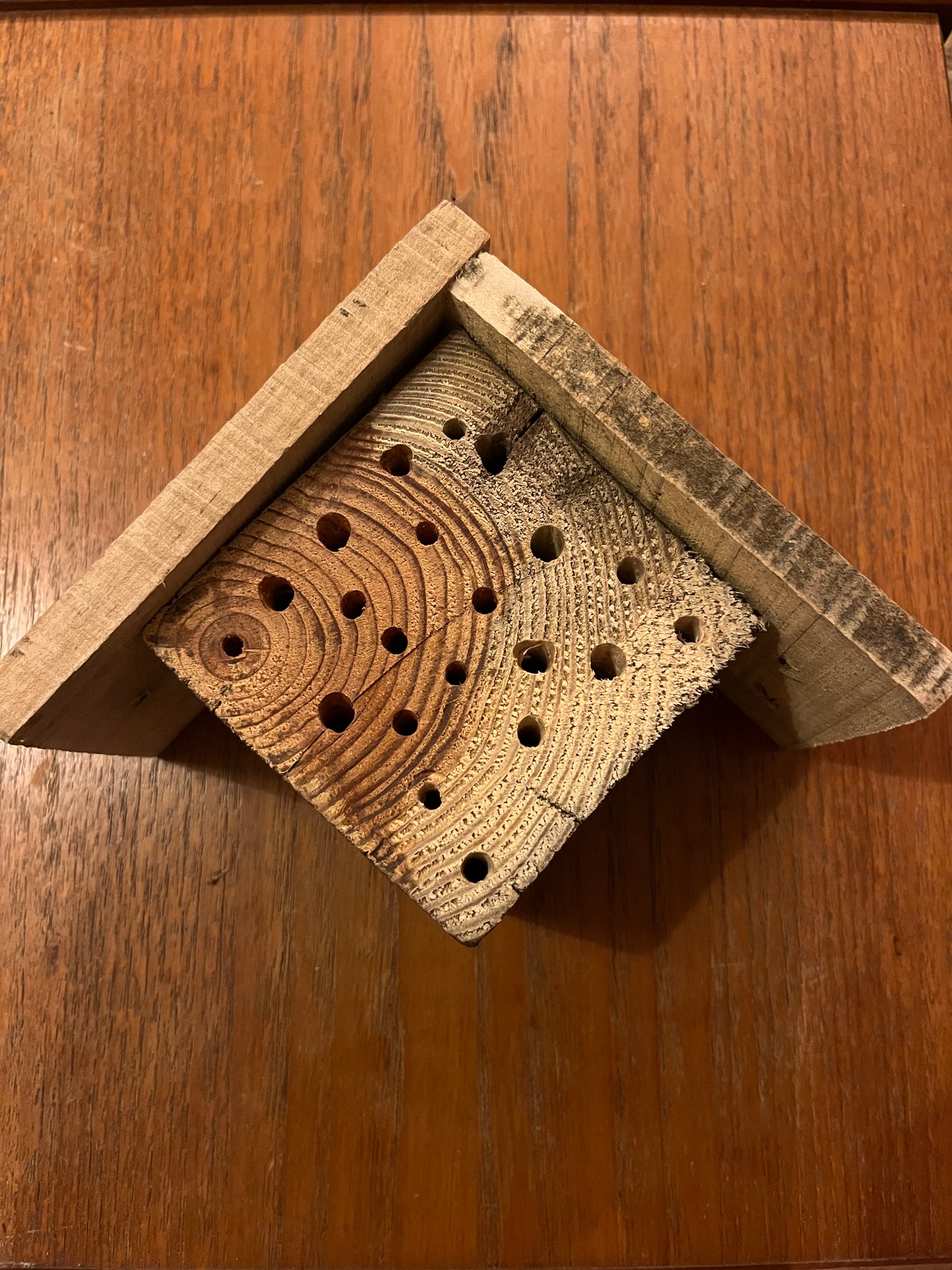 Bee Hive