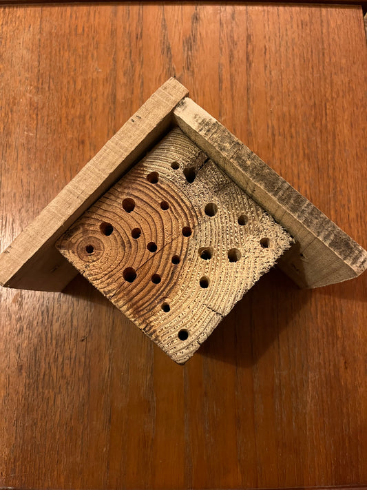 Bee Hive